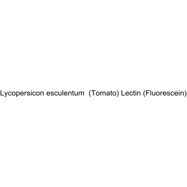 Lycopersicon esculentum (Tomato) Lectin (Fluorescein)